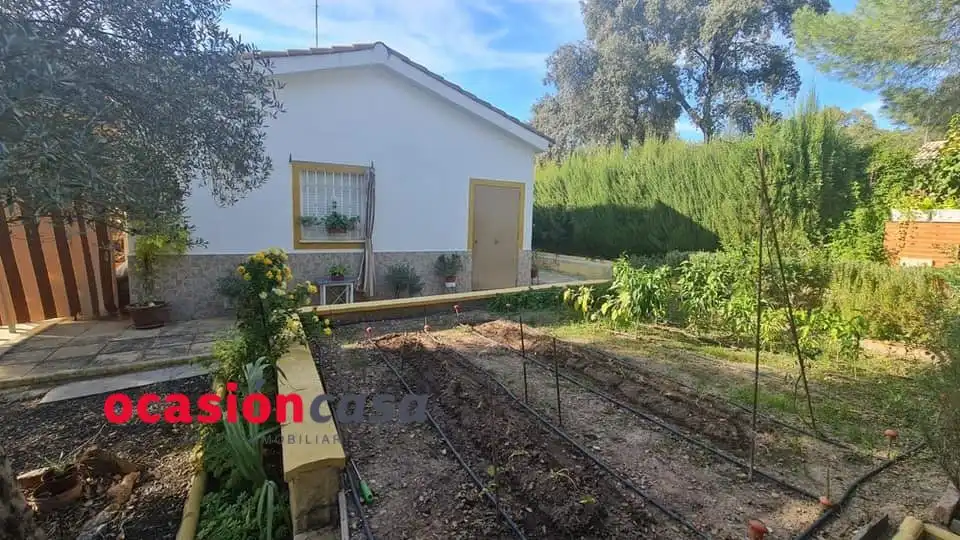 Residential land for sale in Espiel, imagen 12
