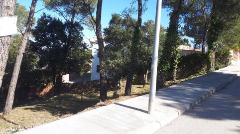 FANTASTICA PARCELA EN VENTA, immagine 3