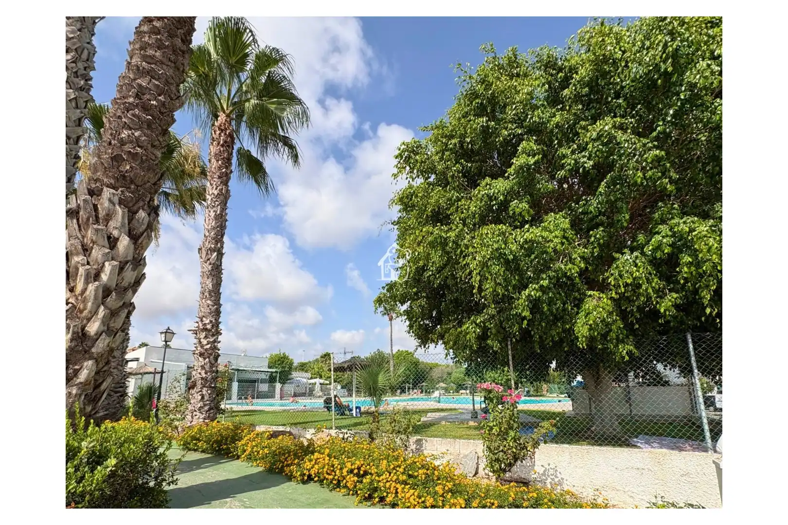 Swimming pool of Ground floor for rent in Torrevieja  with Air Conditioner, Private garden and Terrace