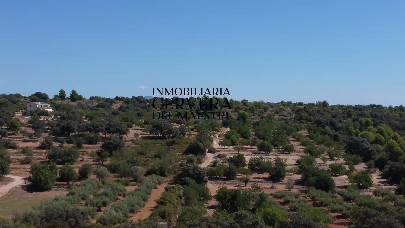Terreno rustico in vendita a Cervera del Maestre, imagen 14