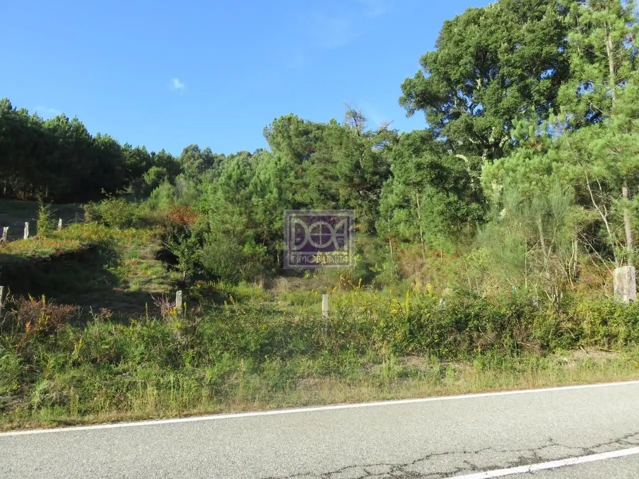 Lands and plots for sale in Mondariz, imagen 4