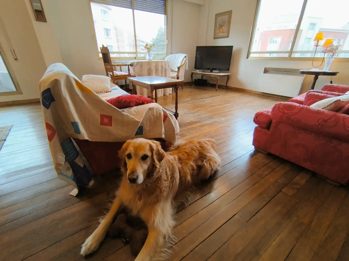 Sala de estar de Piso en venta en Palencia con Calefacción, Parquet y Terraza