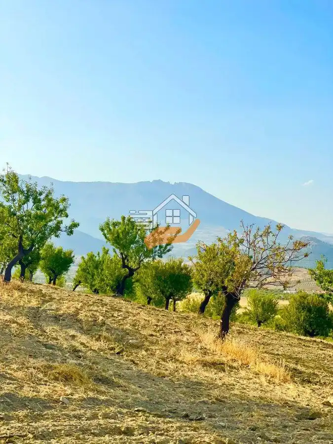 Residential land for sale in Vélez-Rubio, imagen 7