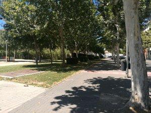 Photo 5 of Premises to rent in Avenida Tablas de Daimiel, 37, Larache, Ciudad Real