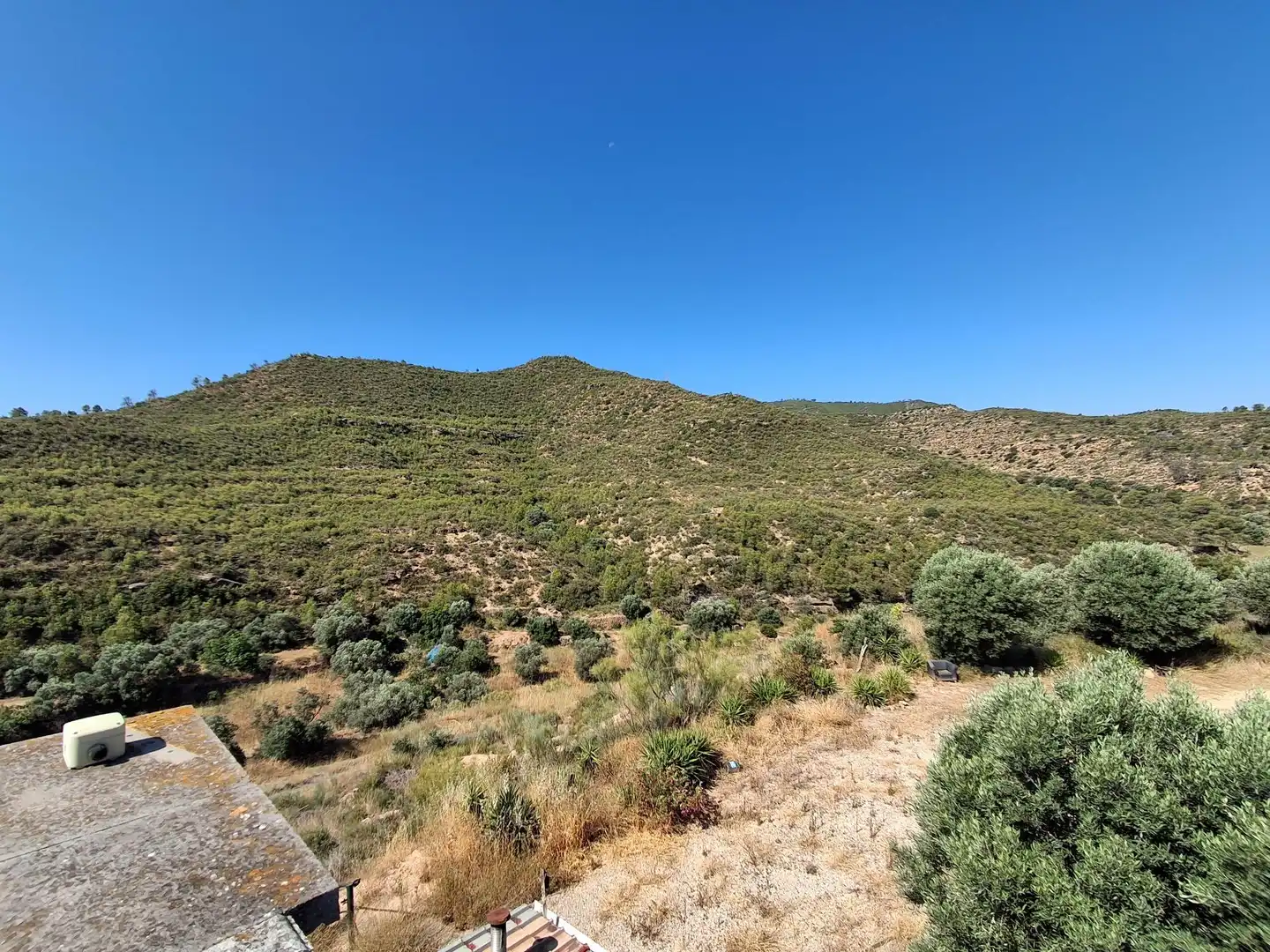 Finca rústica en venda en Riba-roja d'Ebre