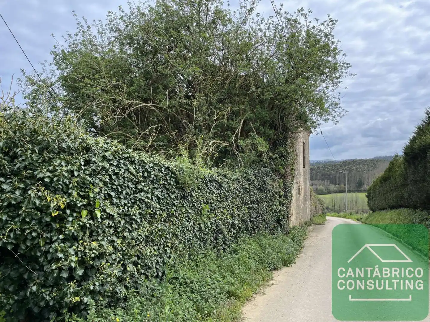Houses for sale in Castropol