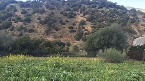 Foto 5 de Terreny en venda a Calle de la Fuente, 9, Algar, Cádiz