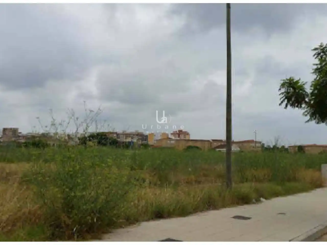 Terreny rústic en venda a Avenida adrian campos suñer