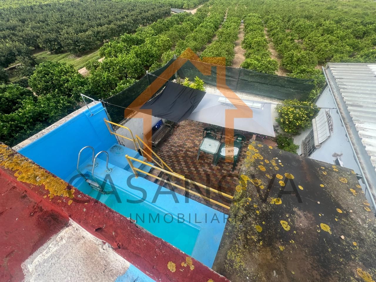 Piscina de Finca rústica en venda en Alberic amb Jardí privat, Terrassa i Piscina