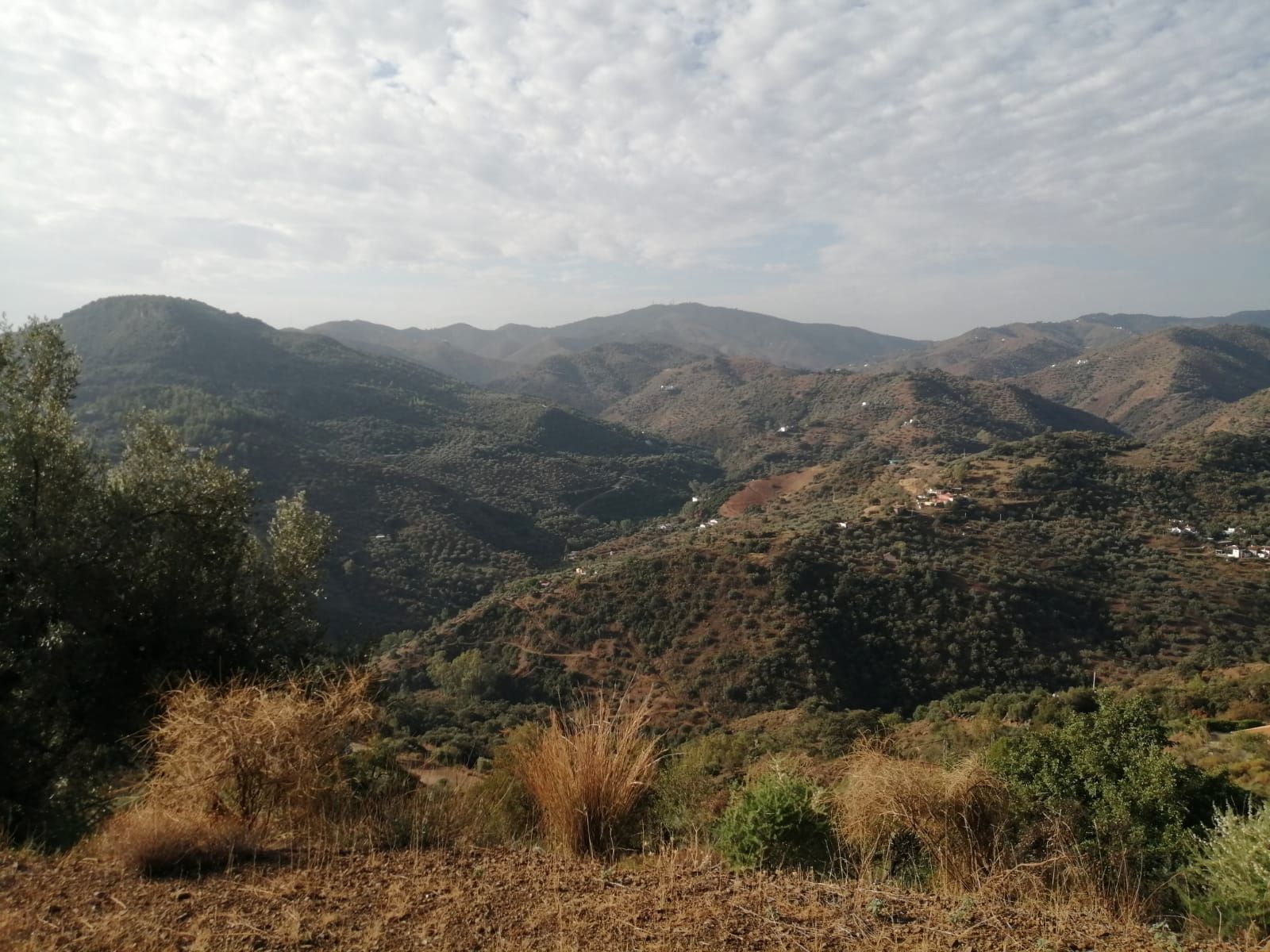 Vista exterior de Casa o xalet en venda en Colmenar amb Jardí privat i Moblat
