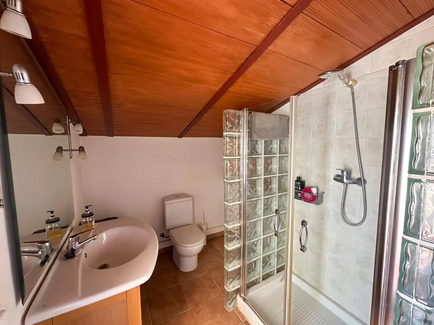 Baño de Casa o chalet en venta en Pedanías Norte