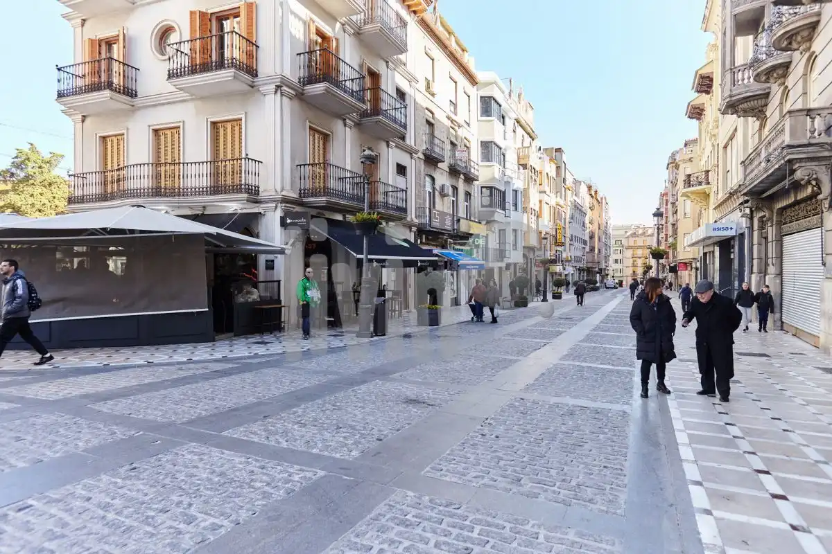 Pis amb ascensor de lloguer a San Ildefonso - Catedral, imagen 29