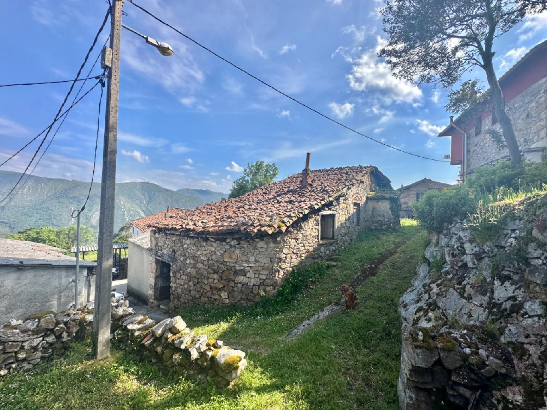 Vista exterior de Casa o xalet en venda en Salas amb Jardí privat