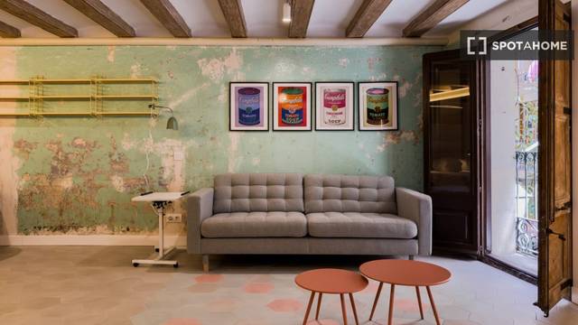 Piso en Alquiler en El Raval