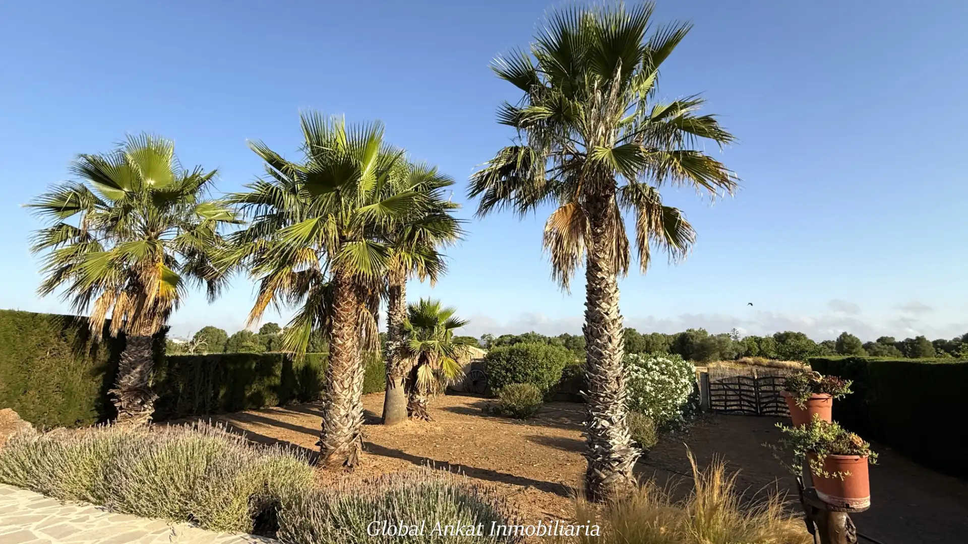 Casa rústica amb jardí en venda a Felanitx Poble, imagen 44