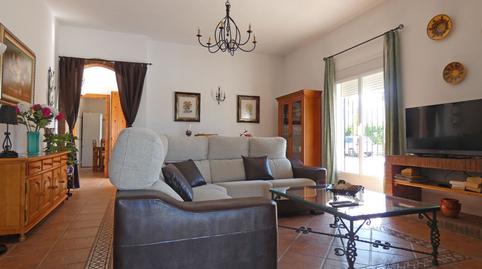 Foto 5 de Finca rústica de alquiler en Alquería - Torrealquería, Málaga