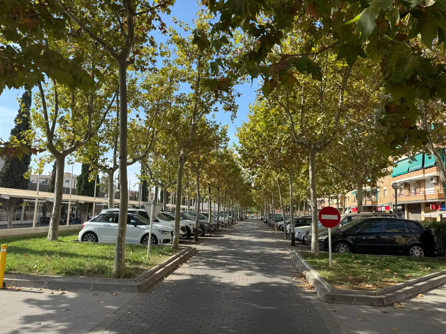 Pis amb terrassa en venda a Carrer del Tenor Josep Forasté, imagen 22