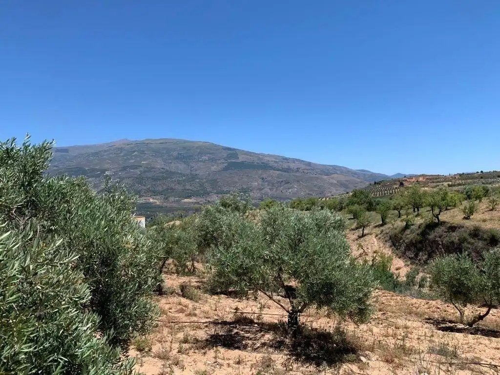 Terreno residencial en venta en Las Flores - Huerta, imagen 16