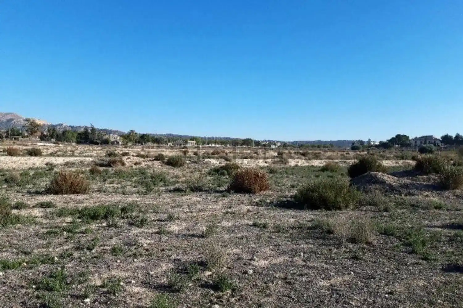 Terreno rústico en venta en Monforte del Cid, imagen 6