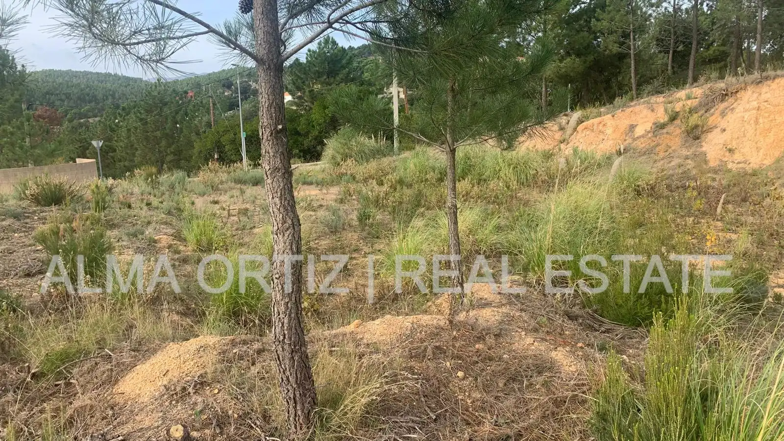 Terreny residencial en venda a Calle Sauce 25, imagen 9