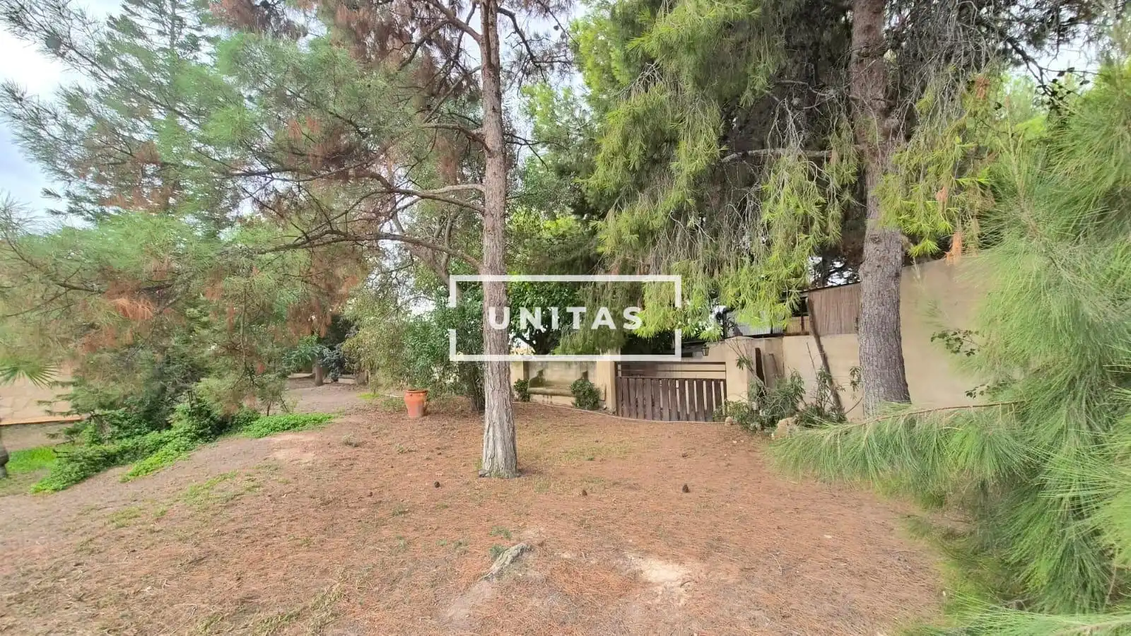 Casa o chalet en venta en Carretera MORALET, Cañada del Fenollar