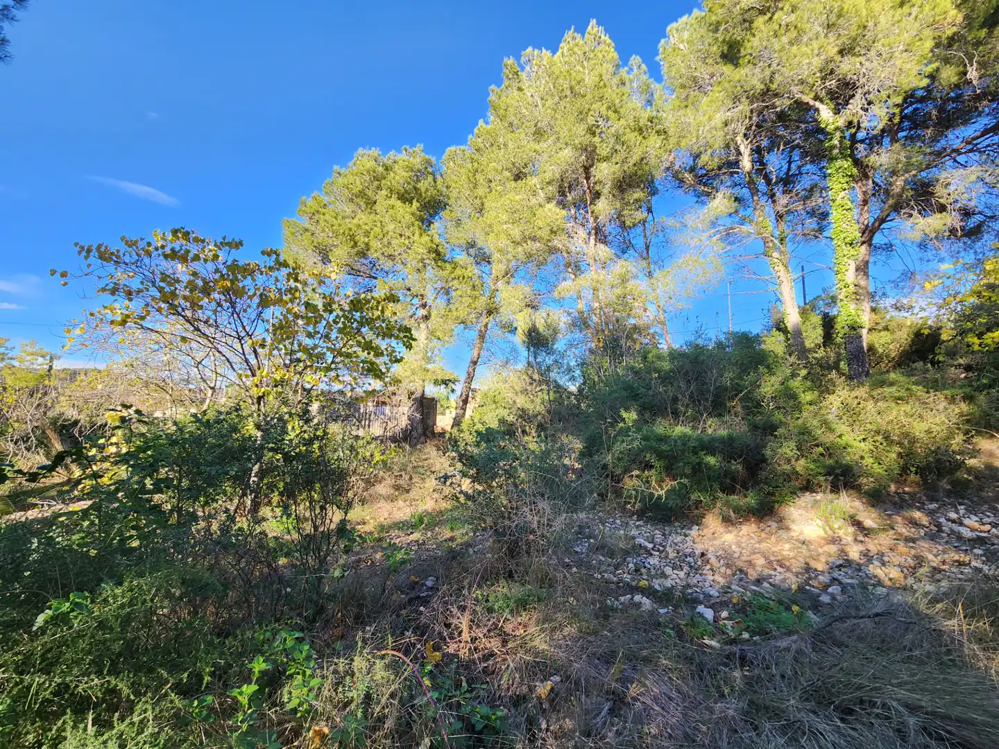 Wohnbaugrundstück zum Verkauf in Vallirana, imagen 15
