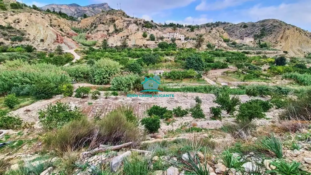 Terreny rústic en venda a Camino Polígono 8 Parcela 200 EL BARRANC. JIJONA/XIXONA