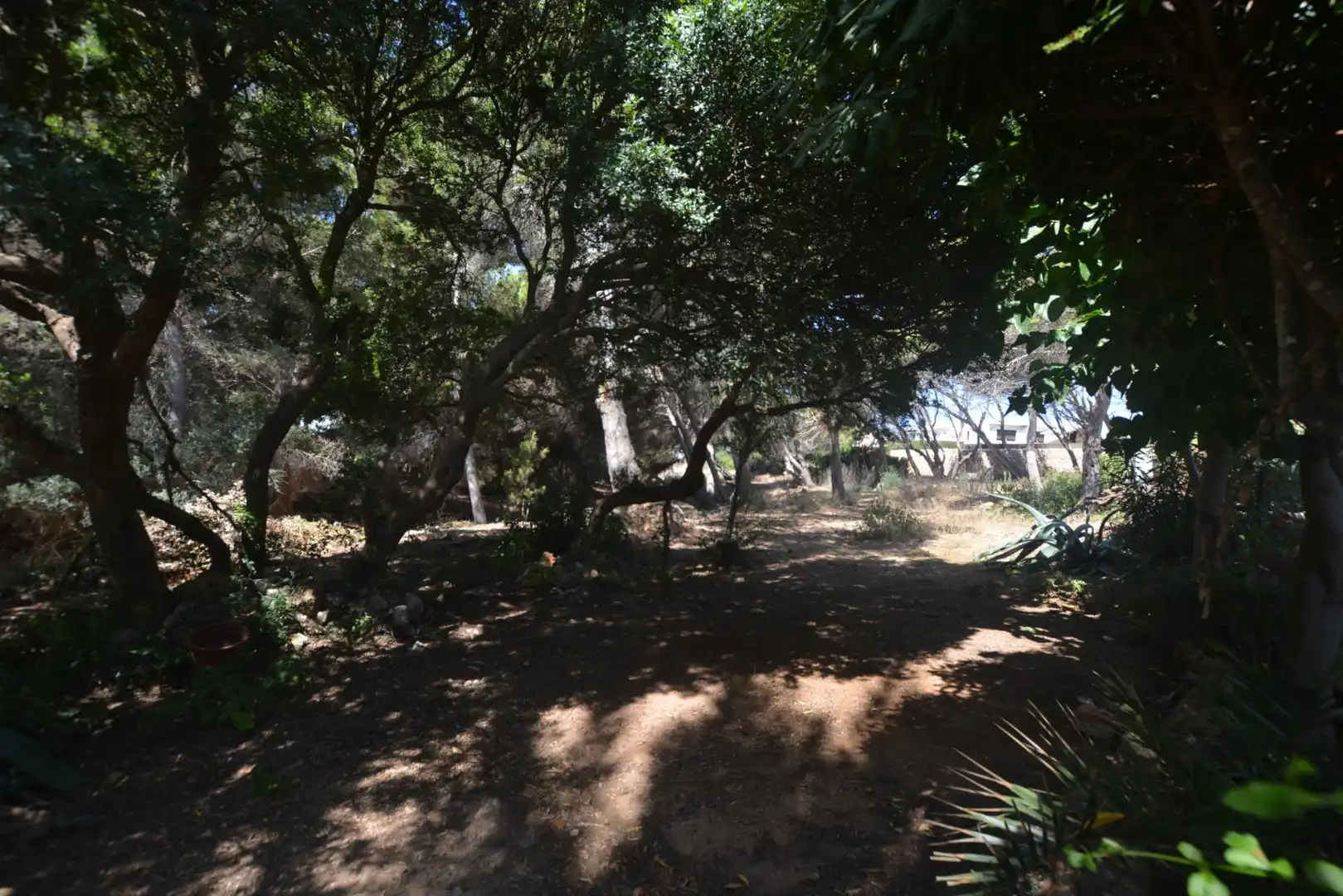 Casa o xalet en venda en Es Mercadal amb Aire condicionat, Jardí privat i Parquet