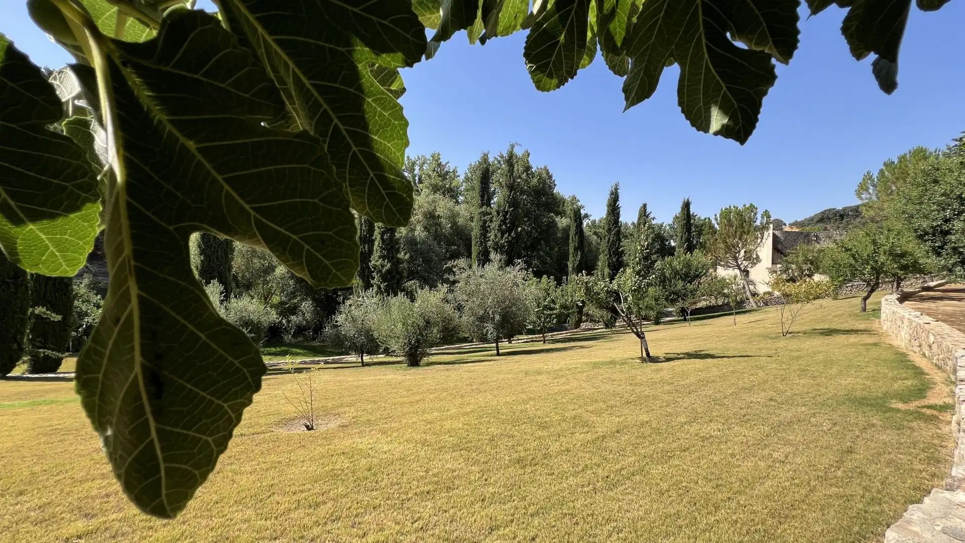 Finca rústica en venta en Setenil de las Bodegas