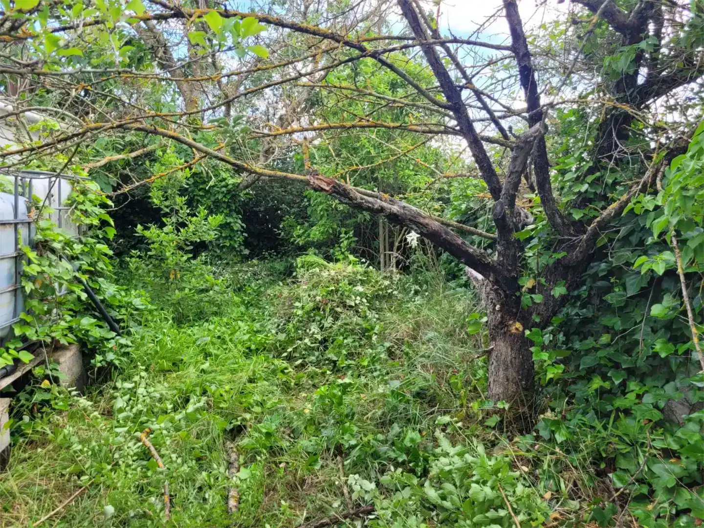 Finca rústica en venda en Allín / Allin