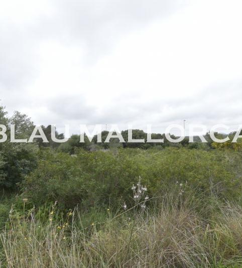 Photo 2 of Land for sale in Cales de Mallorca, Manacor