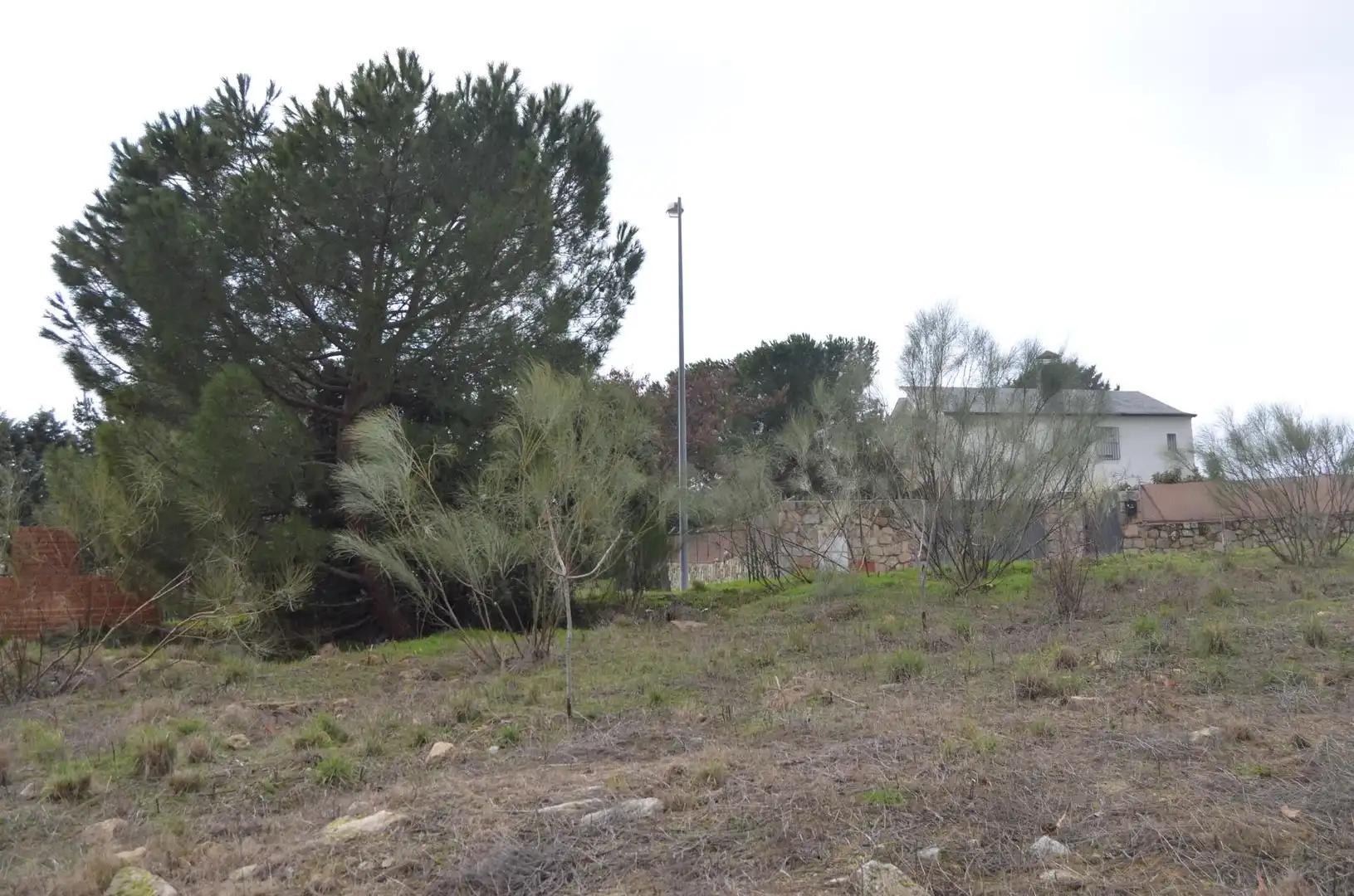 Terrenys i solars en venda a Calle de Eusebio Moreno, imagen 2