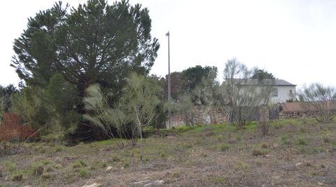 Parcelas en Colmenarejo, imatge 2