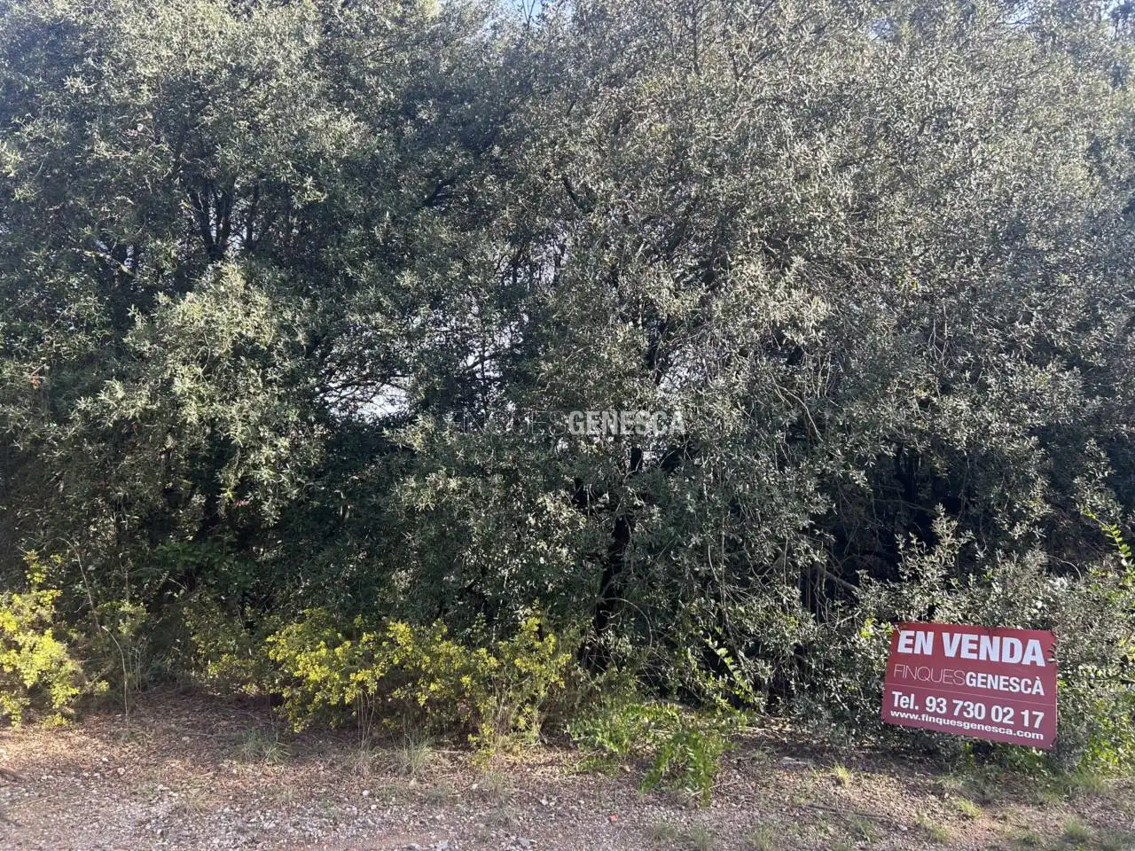 Wohnbaugrundstück zum Verkauf in Calle Notalena 11, imagen 21
