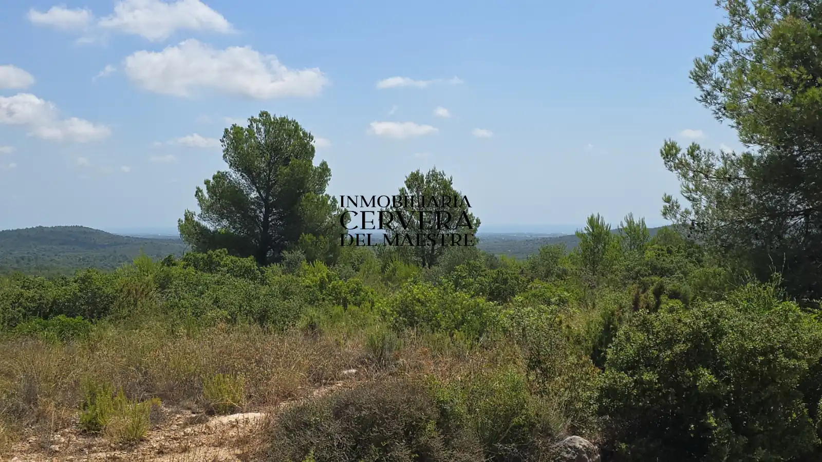 Rural land for sale in Cervera del Maestre, imagen 26