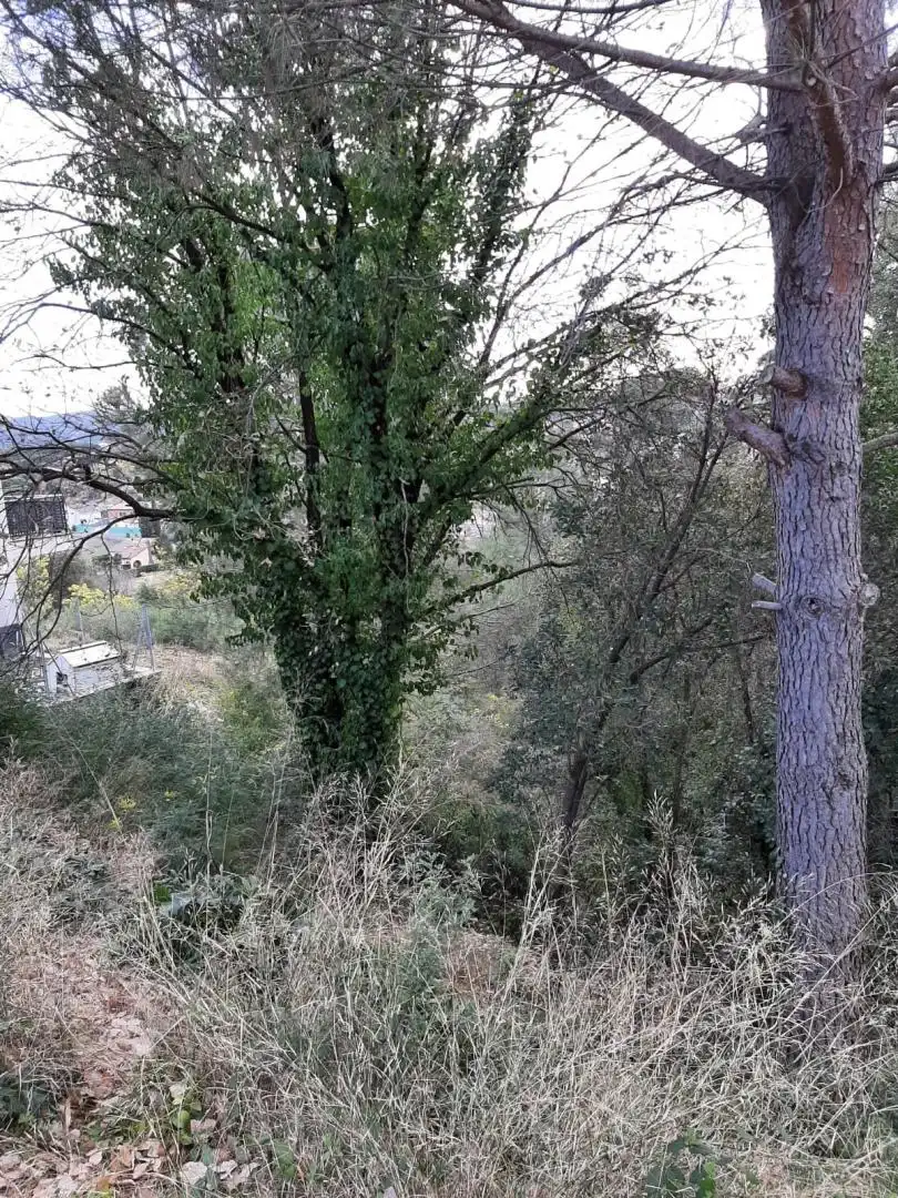 Terreny residencial en venda a Riells i Viabrea, imagen 4