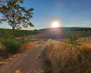 Exterior view of Land for sale in Alcalá la Real