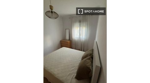 Photo 3 of Room in Sector Sur - La Palmera - Reina Mercedes, Sevilla Capital