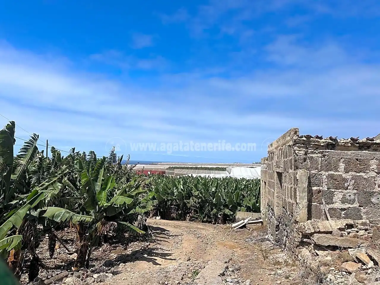 Casa rustica con giardino in vendita a Buenavista del Norte, imagen 3