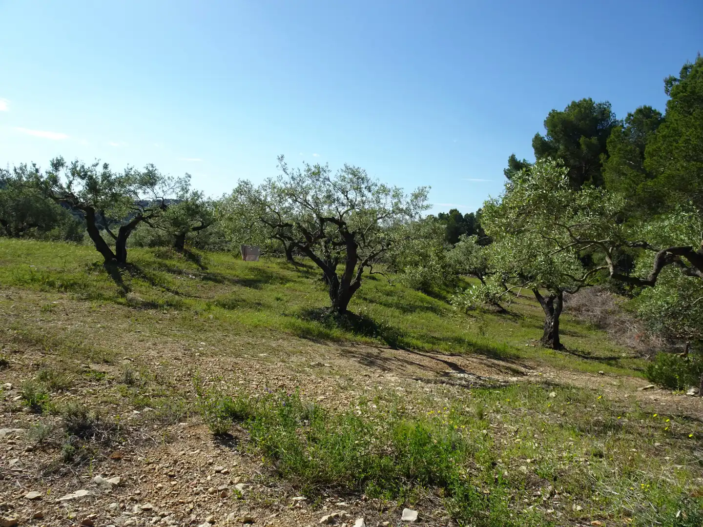 Finca rústica en venta en El Perelló