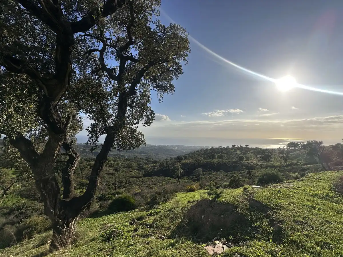 Vista exterior de Residencial en venta en Ojén