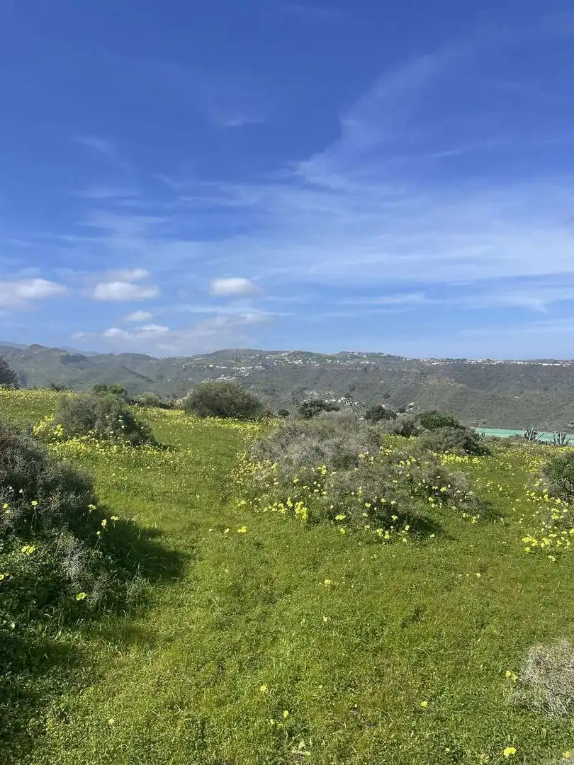 Rural land for sale in Caserones - La Higuera, imagen 4