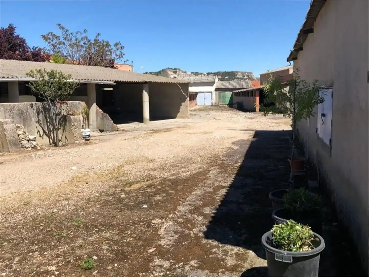 Land for sale in Pesquera de Duero