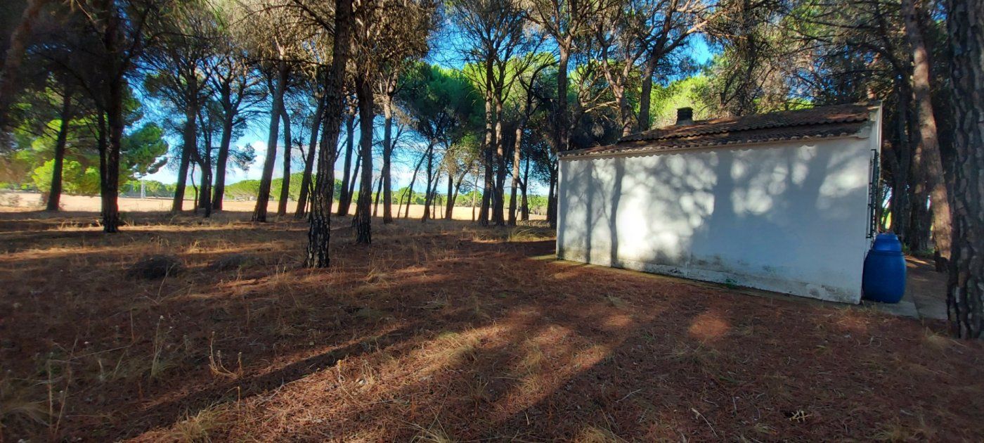 Jardí de Finca rústica en venda en Fuensanta