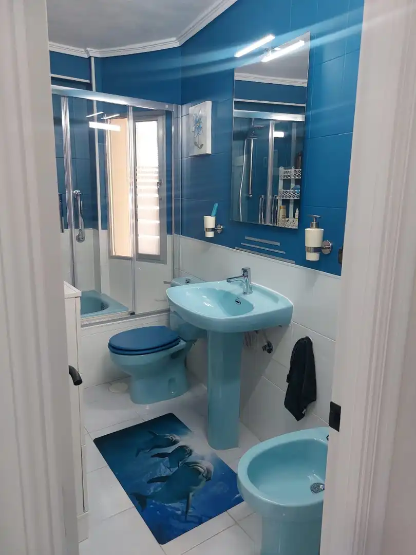 Flat with lift for sale in Calle Calle Brasil, imagen 29