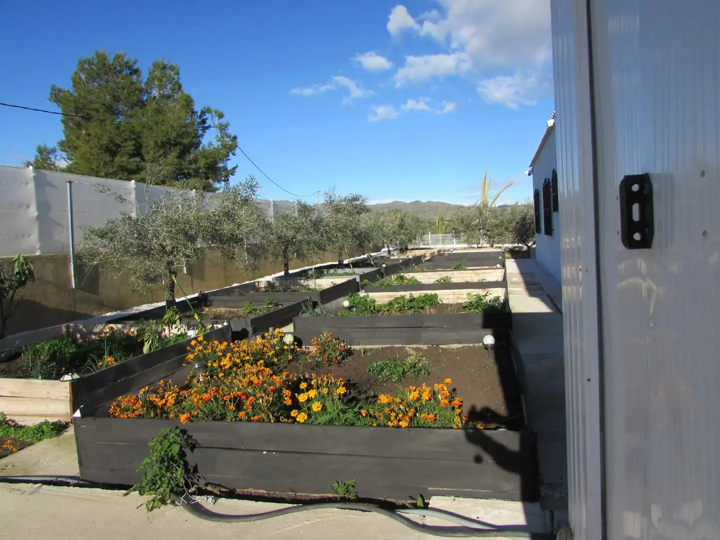 Garden of Country homes for sale in Los Gallardos  with Air Conditioner, Heating and Terrace