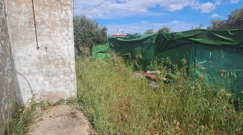 Foto 4 de Casa o chalet en venta en Pedanías Norte, Utrera