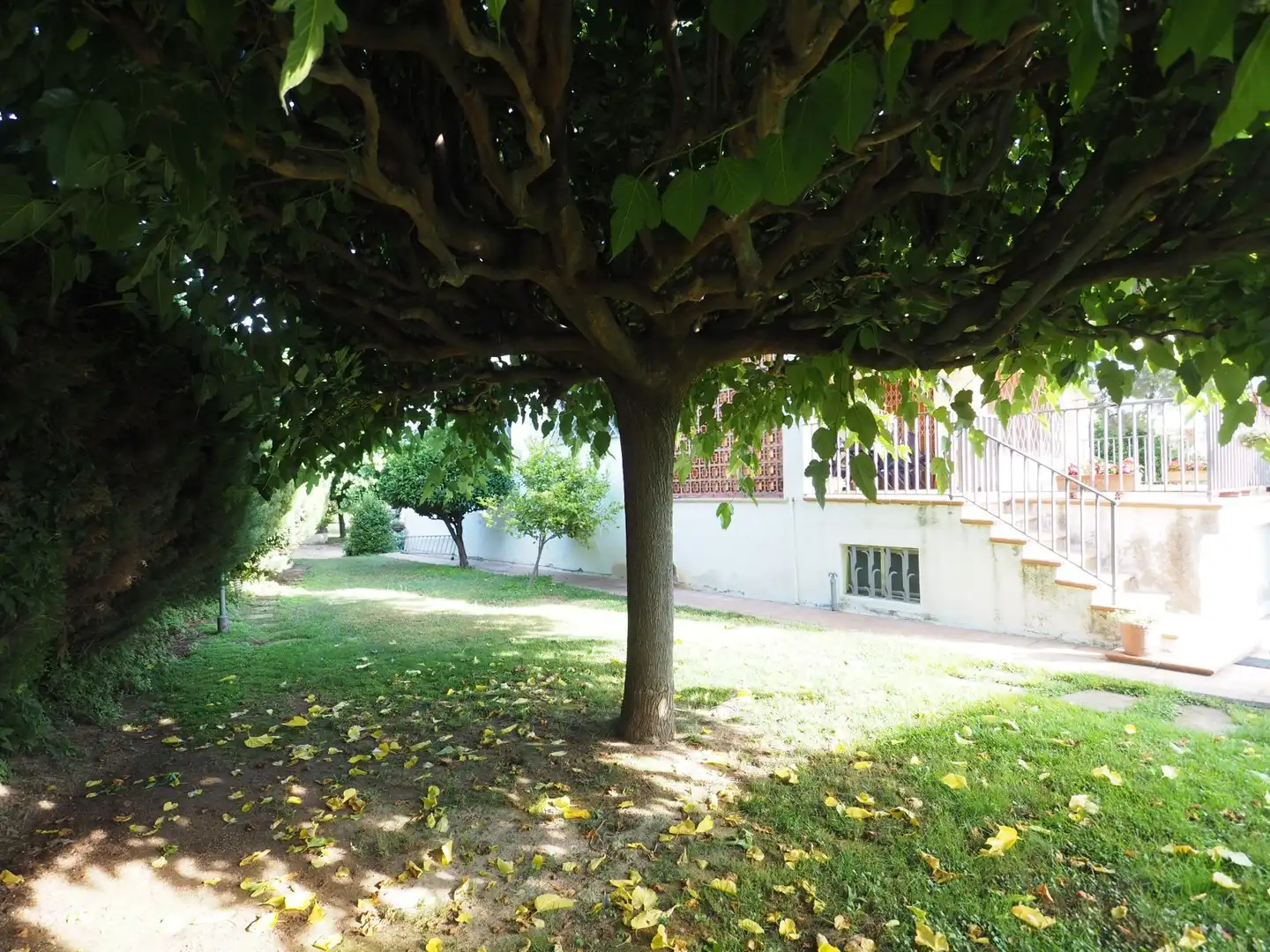 Jardí de Casa o xalet en venda en Canovelles amb Calefacció, Terrassa i Traster