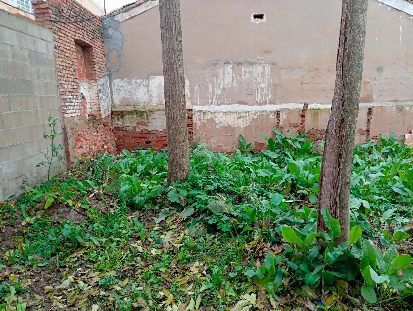 Jardín de Casa o chalet en venta en Guadalajara con Calefacción