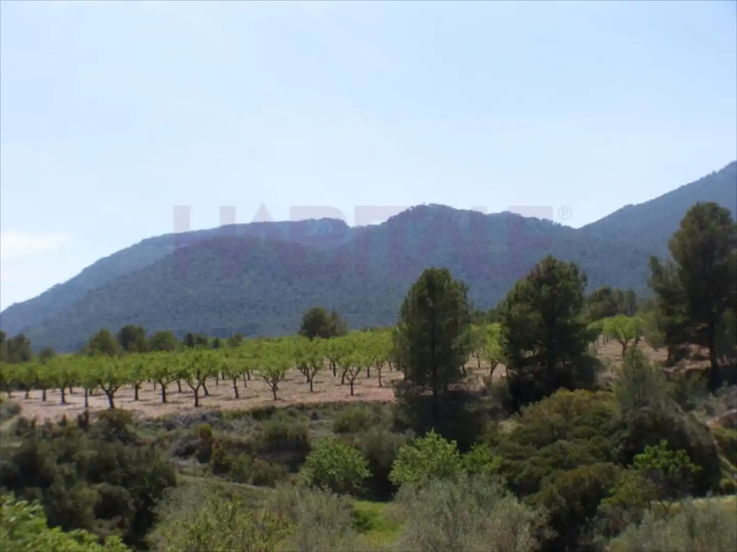 Terreny residencial en venda a Tibi, Ctra S. Vicente-Alcoy. Torrosellas, Polígono 1 parcela 25 + casa, imagen 13
